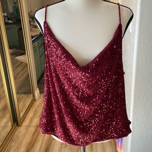 New with tags sparkle top